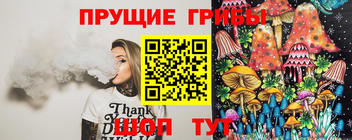 Белорецк  Галлюциногенные грибы Cubensis  Вход с VPN 